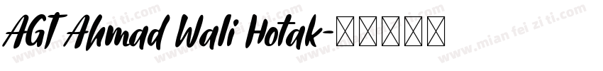 AGT Ahmad Wali Hotak字体转换